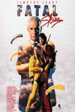 Poster Fatal Skies