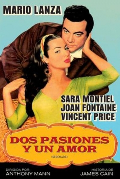 Poster Dos Pasiones y un Amor