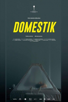 Poster Domestik