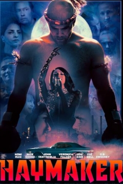 Poster Haymaker