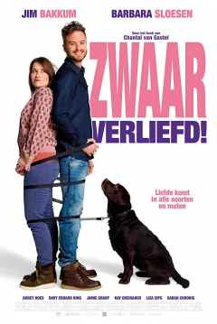 Poster Heavily in Love!