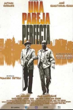 Ficha Una Pareja Perfecta