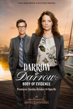Poster Darrow & Darrow 3