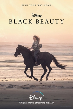 Poster Black Beauty