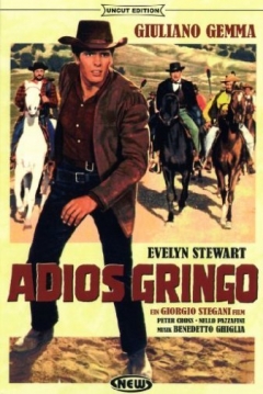 Poster Adiós, Gringo