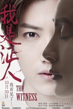 Poster The Witness