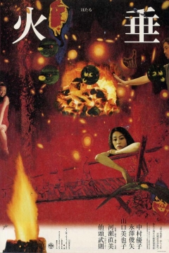 Poster Firefly