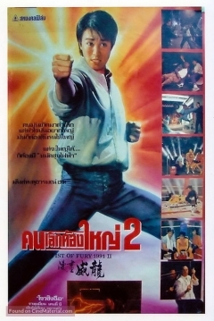 Poster Fist of Fury 1991 II