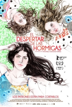 Poster El Despertar de las Hormigas