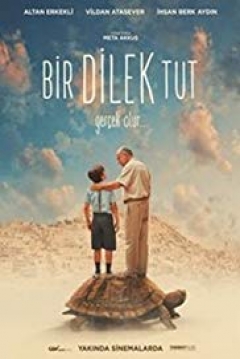 Poster Bir Dilek Tut