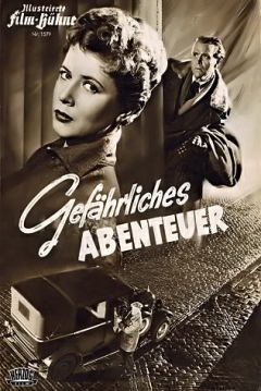 Poster Adventures in Vienna