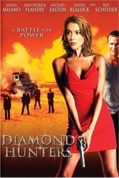 Poster Cazadores de Diamantes