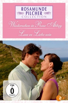 Poster Deja que Fluya el Amor