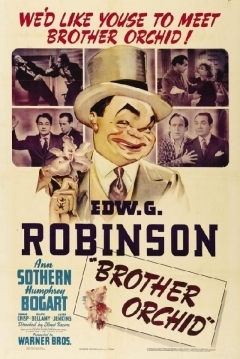 Poster El Hermano Orquidea