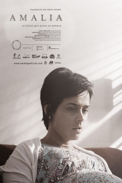 Poster Amalia