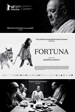 Poster Fortuna