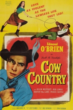 Poster Cow Country