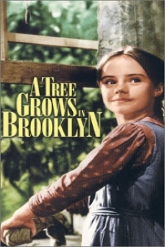 Ficha Un Árbol Crece en Brooklyn