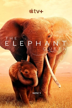 Poster The Elephant Queen