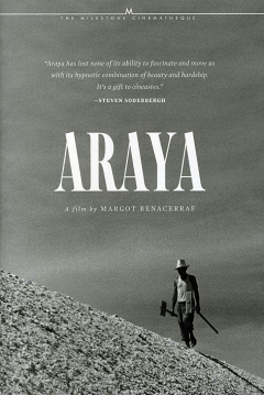 Poster Araya