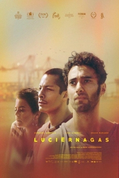 Poster Luciérnagas
