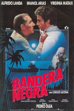 Poster Bandera Negra