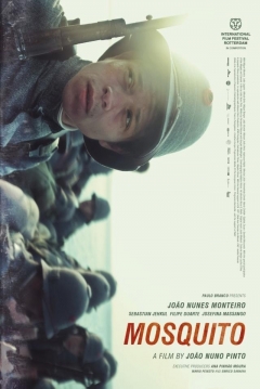 Poster Mosquito