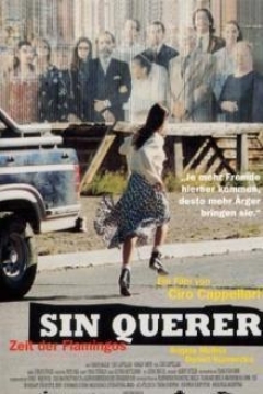 Poster Sin Querer