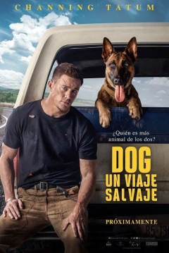 Poster Dog: Un Viaje Salvaje