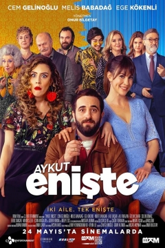 Poster Brother in Love