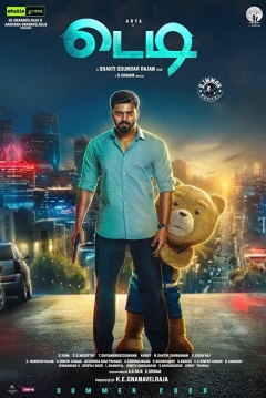 Poster Teddy