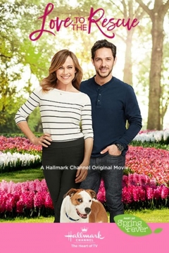 Poster Un amor inesperado