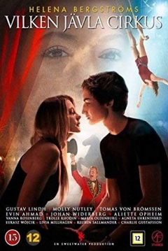 Poster Mending Hugo's Heart