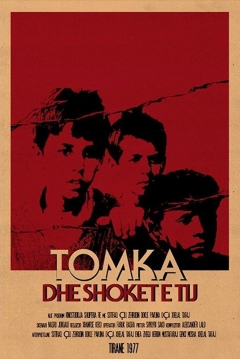 Poster Tomka and his Friends