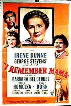 Poster Nunca la Olvidaré