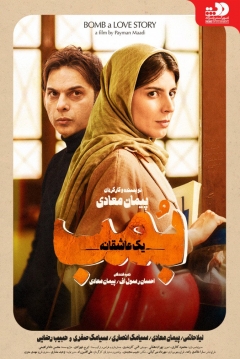 Poster Bomb: A Love Story