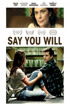 Poster Say you Will