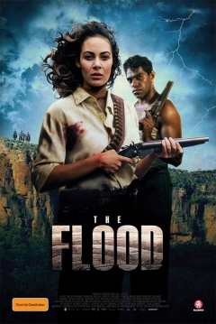 Poster Venganza