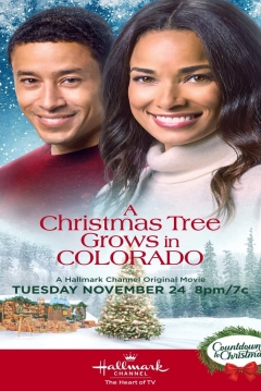 Poster A Christmas Tree Grows In Colorado