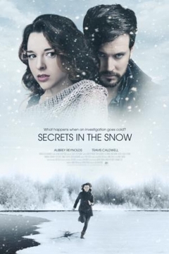 Poster Secrets In The Snow