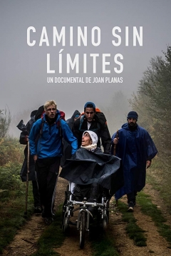 Poster Camino sin Límites