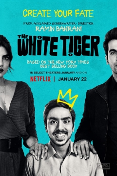 Poster Tigre Blanco