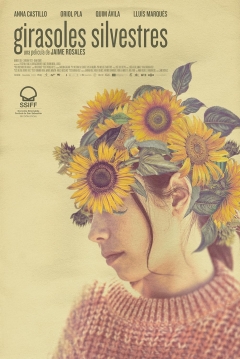 Poster Girasoles Silvestres