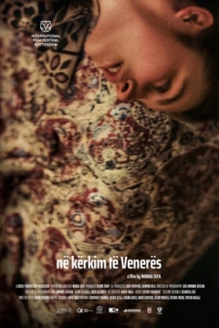 Poster Looking for Venera