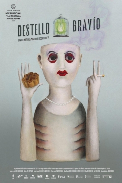 Poster Destello Bravío