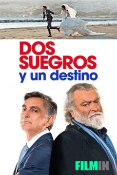Poster Dos Suegros y un Destino