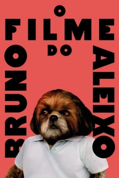 Poster Bruno Aleixo's Film