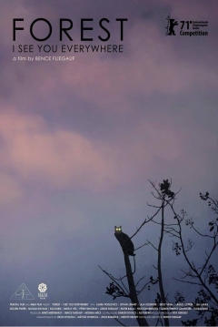 Poster Forest: I See You Everywhere