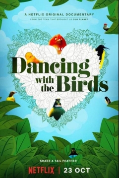 Ficha Bailando con los Pájaros
