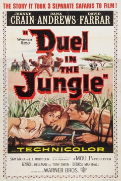 Poster Duelo en la Jungla